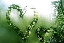 包含山东泰山加时末段状态回暖；志在意大利杯名次提升；底气十足；团队化学反应显著的词条